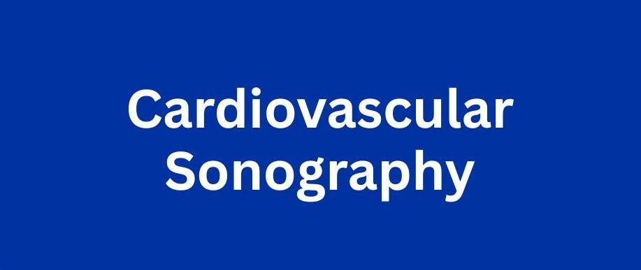 cardiovascular sonography